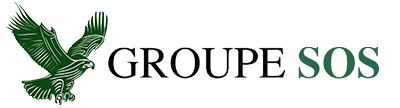 Groupe SOS